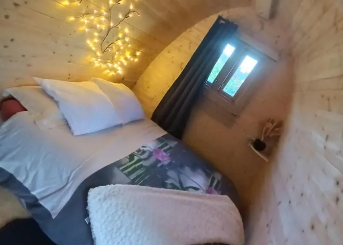 Silkiepod * Олорон-Сент-Мари